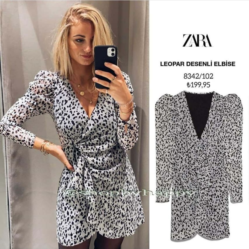ZARA Animal Print Dress